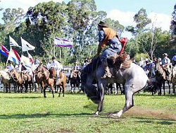 Fiesta de la Patria Gaucha