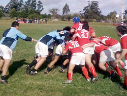 Rugby: Hoy se realizará una jornada de capacitación a entrenadores y padres