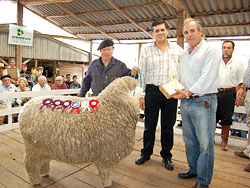 Se realizó la 42ª Exposición Rural en Curticeiras 2011